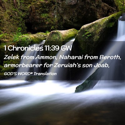 Picture 02 - 1 Chronicles 11:39 GW - Zelek from Ammon, Naharai from Beroth, - Bible Verse Picture