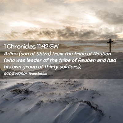 Picture 02 - 1 Chronicles 11:42 GW - Adina (son of Shiza) from the tribe of Reuben - Bible Verse Picture