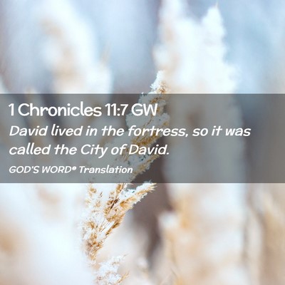 Picture 02 - 1 Chronicles 11:7 GW - David lived in the fortress, so it was called the - Bible Verse Picture