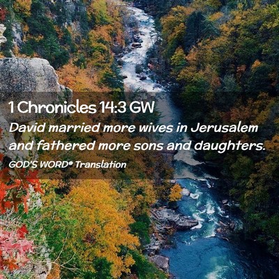 Picture 02 - 1 Chronicles 14:3 GW - David married more wives in Jerusalem and - Bible Verse Picture