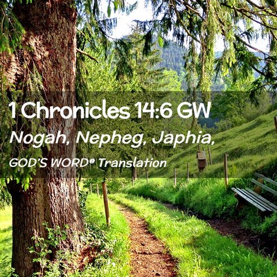 Picture 02 - 1 Chronicles 14:6 GW - Nogah, Nepheg, - Bible Verse Picture