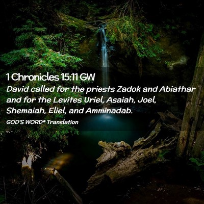 Picture 02 - 1 Chronicles 15:11 GW - David called for the priests Zadok and Abiathar - Bible Verse Picture