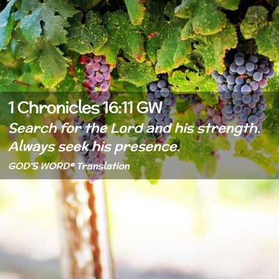 Picture 02 - 1 Chronicles 16:11 GW - Search for the Lord and his strength. Always seek - Bible Verse Picture