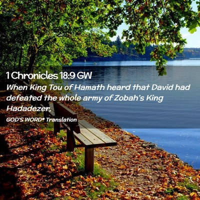 Picture 02 - 1 Chronicles 18:9 GW - When King Tou of Hamath heard that David had - Bible Verse Picture