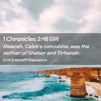 Picture 02 - 1 Chronicles 2:48 GW - Maacah, Caleb’s concubine, was the mother of - Bible Verse Picture