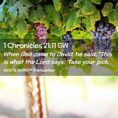 Picture 02 - 1 Chronicles 21:11 GW - When Gad came to David, he said, “This is what - Bible Verse Picture