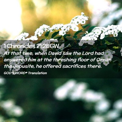 Picture 02 - 1 Chronicles 21:28 GW - At that time, when David saw the Lord had - Bible Verse Picture