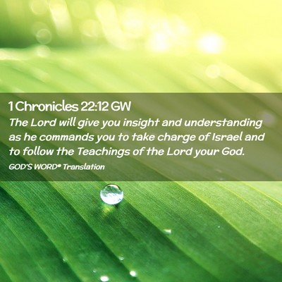 Picture 02 - 1 Chronicles 22:12 GW - The Lord will give you insight and understanding - Bible Verse Picture