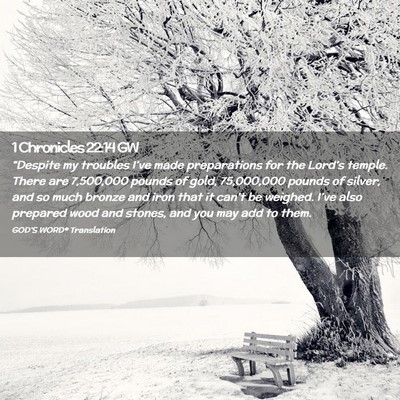 Picture 02 - 1 Chronicles 22:14 GW - “Despite my troubles I’ve made preparations - Bible Verse Picture