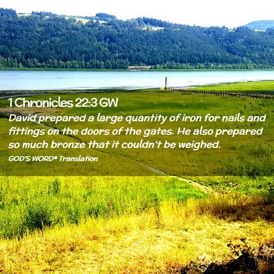 Picture 02 - 1 Chronicles 22:3 GW - David prepared a large quantity of iron for nails - Bible Verse Picture