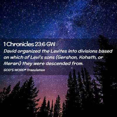 Picture 02 - 1 Chronicles 23:6 GW - David organized the Levites into divisions based - Bible Verse Picture