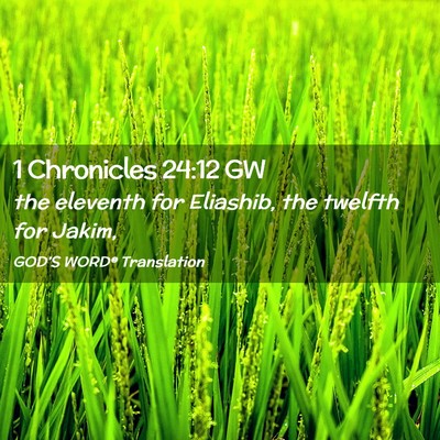 Picture 02 - 1 Chronicles 24:12 GW - the eleventh for Eliashib, the twelfth for - Bible Verse Picture