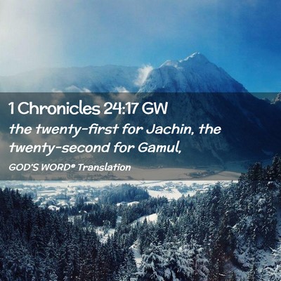Picture 02 - 1 Chronicles 24:17 GW - the twenty-first for Jachin, the twenty-second - Bible Verse Picture