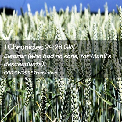 Picture 02 - 1 Chronicles 24:28 GW - Eleazar (who had no sons, for Mahli’s - Bible Verse Picture