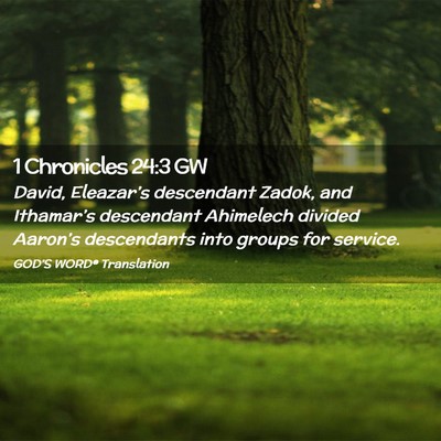 Picture 02 - 1 Chronicles 24:3 GW - David, Eleazar’s descendant Zadok, and - Bible Verse Picture