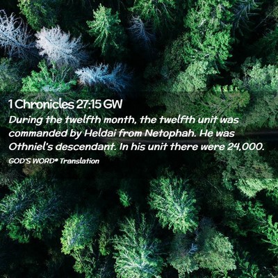 Picture 02 - 1 Chronicles 27:15 GW - During the twelfth month, the twelfth unit was - Bible Verse Picture