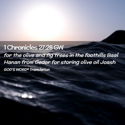 Picture 02 - 1 Chronicles 27:28 GW - for the olive and fig trees in the foothills Baal - Bible Verse Picture