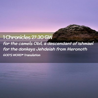 Picture 02 - 1 Chronicles 27:30 GW - for the camels Obil, a descendant of Ishmael for - Bible Verse Picture