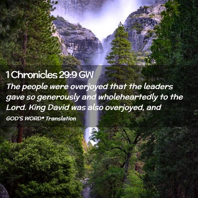Picture 02 - 1 Chronicles 29:9 GW - The people were overjoyed that the leaders gave - Bible Verse Picture