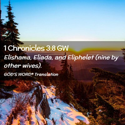 Picture 02 - 1 Chronicles 3:8 GW - Elishama, Eliada, and Eliphelet (nine by other - Bible Verse Picture