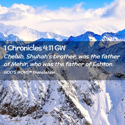 Picture 02 - 1 Chronicles 4:11 GW - Chelub, Shuhah’s brother, was the father of - Bible Verse Picture
