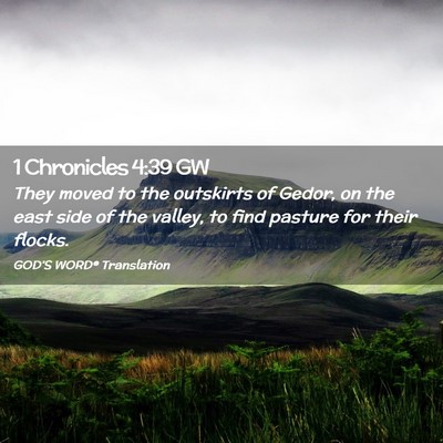 Picture 02 - 1 Chronicles 4:39 GW - They moved to the outskirts of Gedor, on the east - Bible Verse Picture