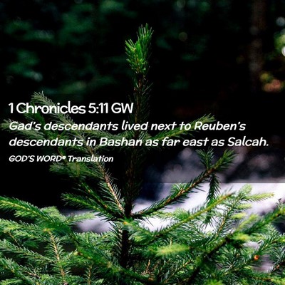 Picture 02 - 1 Chronicles 5:11 GW - Gad’s descendants lived next to Reuben’s - Bible Verse Picture