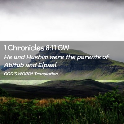 Picture 02 - 1 Chronicles 8:11 GW - He and Hushim were the parents of Abitub and - Bible Verse Picture