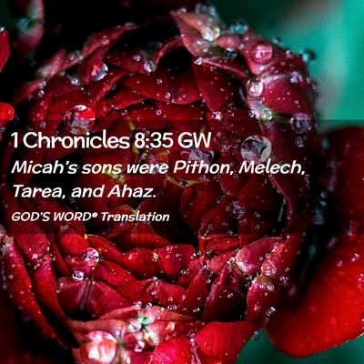 Picture 02 - 1 Chronicles 8:35 GW - Micah’s sons were Pithon, Melech, Tarea, and - Bible Verse Picture
