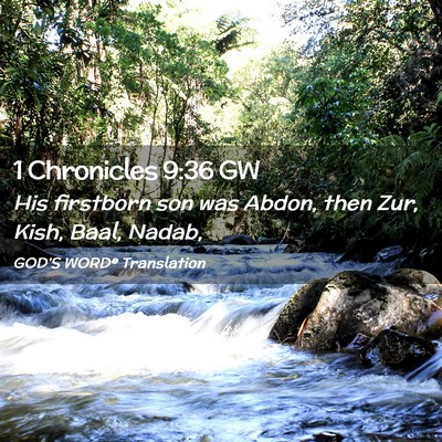 Picture 02 - 1 Chronicles 9:36 GW - His firstborn son was Abdon, then Zur, Kish, - Bible Verse Picture