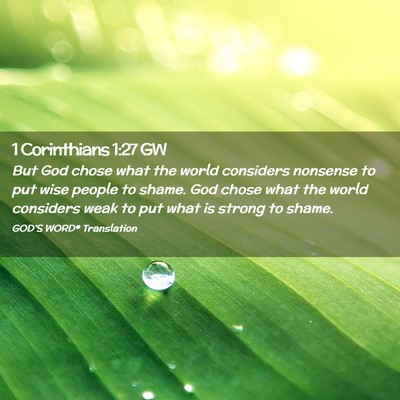 Picture 02 - 1 Corinthians 1:27 GW - But God chose what the world considers nonsense - Bible Verse Picture