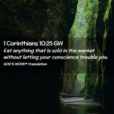 Picture 02 - 1 Corinthians 10:25 GW - Eat anything that is sold in the market without - Bible Verse Picture