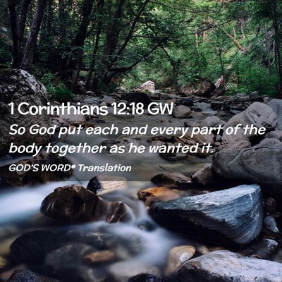 Picture 02 - 1 Corinthians 12:18 GW - So God put each and every part of the body - Bible Verse Picture