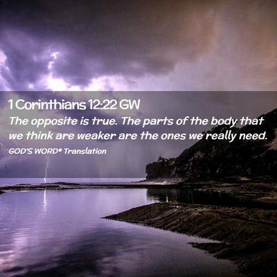 Picture 02 - 1 Corinthians 12:22 GW - The opposite is true. The parts of the body that - Bible Verse Picture