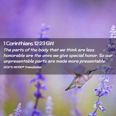 Picture 02 - 1 Corinthians 12:23 GW - The parts of the body that we think are less - Bible Verse Picture