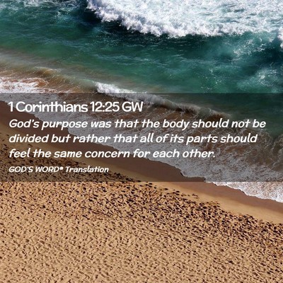 Picture 02 - 1 Corinthians 12:25 GW - God’s purpose was that the body should not be - Bible Verse Picture