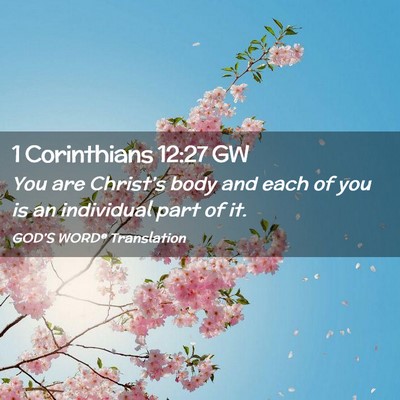 Picture 02 - 1 Corinthians 12:27 GW - You are Christ’s body and each of you is an - Bible Verse Picture