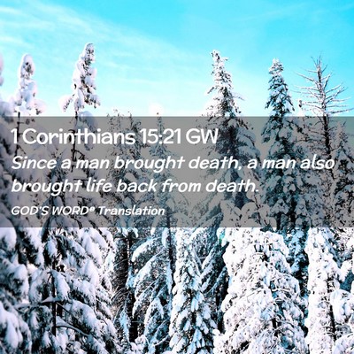 Picture 02 - 1 Corinthians 15:21 GW - Since a man brought death, a man also brought - Bible Verse Picture