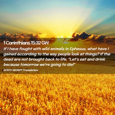Picture 02 - 1 Corinthians 15:32 GW - If I have fought with wild animals in Ephesus, - Bible Verse Picture