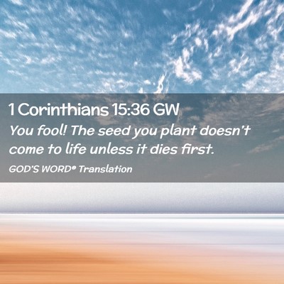 Picture 02 - 1 Corinthians 15:36 GW - You fool! The seed you plant doesn’t come to - Bible Verse Picture