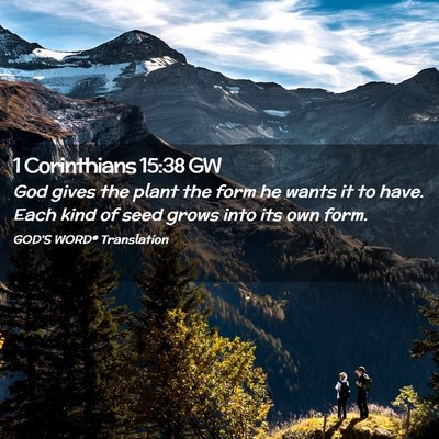 Picture 02 - 1 Corinthians 15:38 GW - God gives the plant the form he wants it to have. - Bible Verse Picture