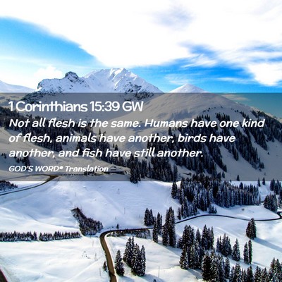Picture 02 - 1 Corinthians 15:39 GW - Not all flesh is the same. Humans have one kind - Bible Verse Picture