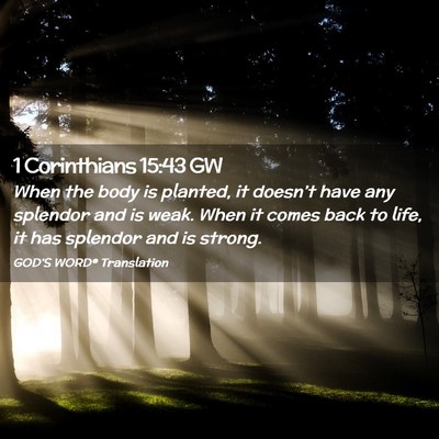 Picture 02 - 1 Corinthians 15:43 GW - When the body is planted, it doesn’t have any - Bible Verse Picture