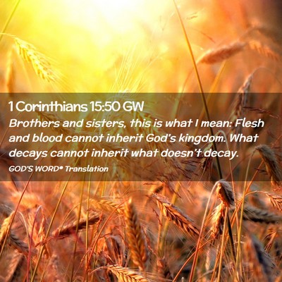 Picture 02 - 1 Corinthians 15:50 GW - Brothers and sisters, this is what I mean: Flesh - Bible Verse Picture