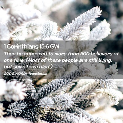 Picture 02 - 1 Corinthians 15:6 GW - Then he appeared to more than 500 believers at - Bible Verse Picture