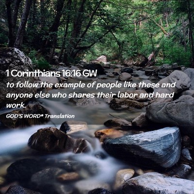 Picture 02 - 1 Corinthians 16:16 GW - to follow the example of people like these and - Bible Verse Picture