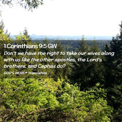 Picture 02 - 1 Corinthians 9:5 GW - Don’t we have the right to take our wives along - Bible Verse Picture