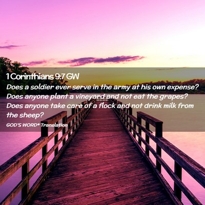 Picture 02 - 1 Corinthians 9:7 GW - Does a soldier ever serve in the army at his own - Bible Verse Picture