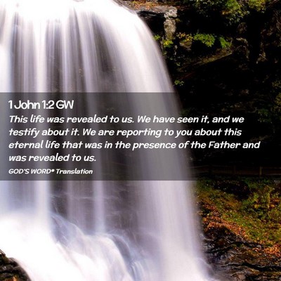 Picture 02 - 1 John 1:2 GW - This life was revealed to us. We have seen it, - Bible Verse Picture