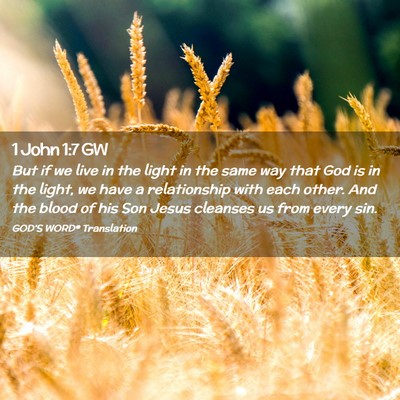 Picture 02 - 1 John 1:7 GW - But if we live in the light in the same way that - Bible Verse Picture